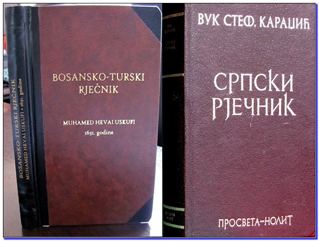 1rjecnik satriji