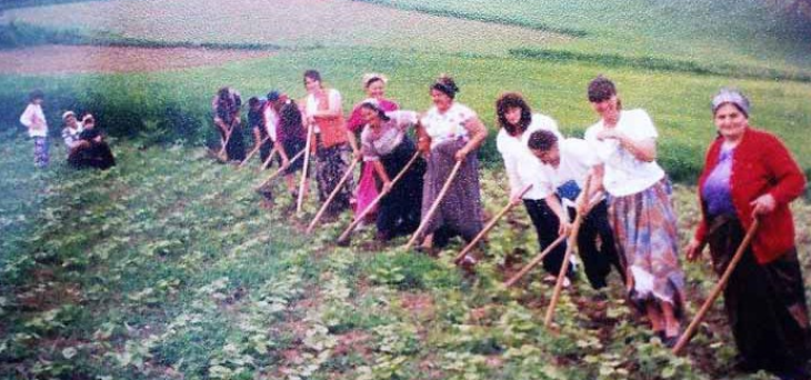rad Bosna
