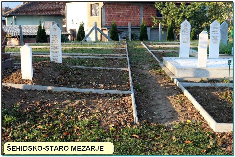 1sehidskoivicnjaci