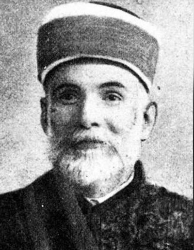 dzemaludin causevic reis