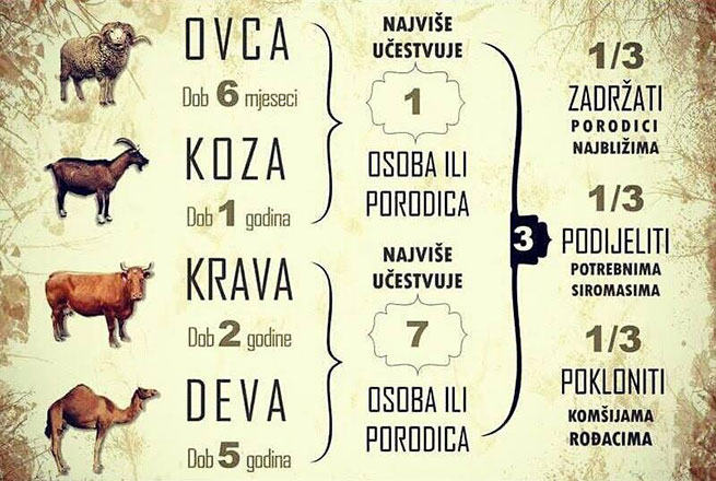 kurban klanje