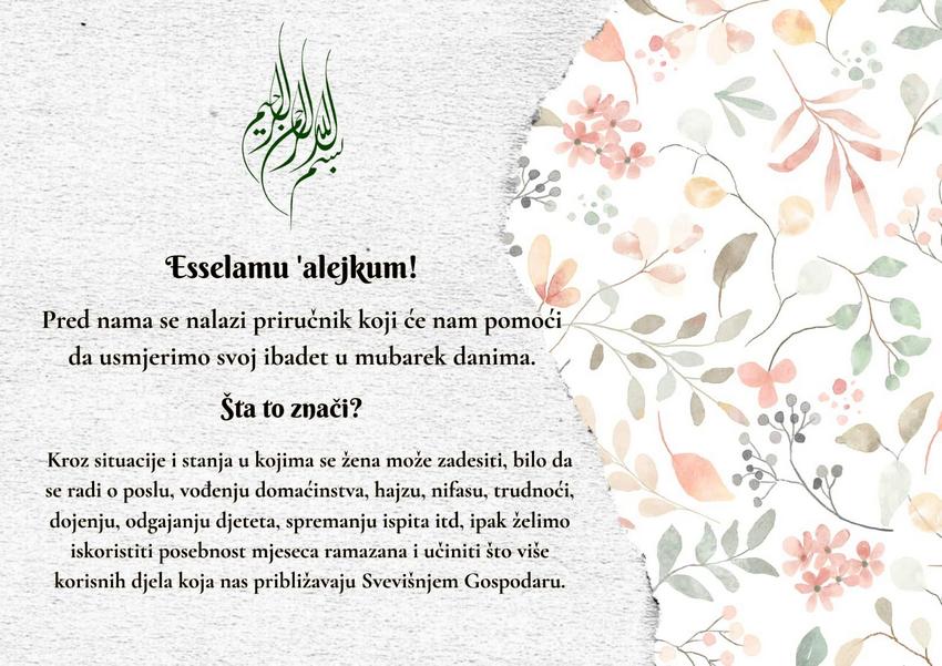 DRUGI PRIMJERAK ZEN 2026