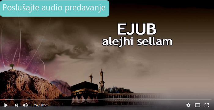 2ejubaudiopredavanje