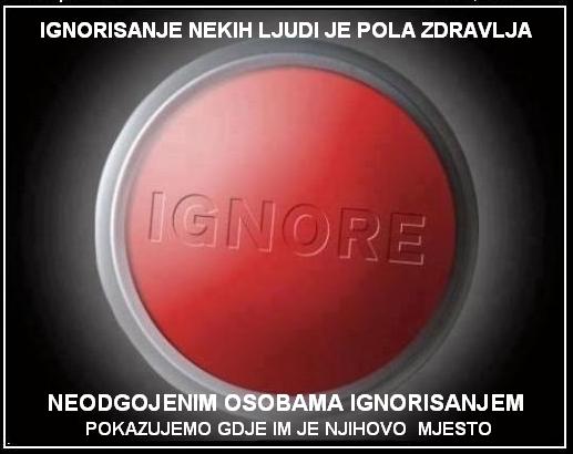 IGNORE