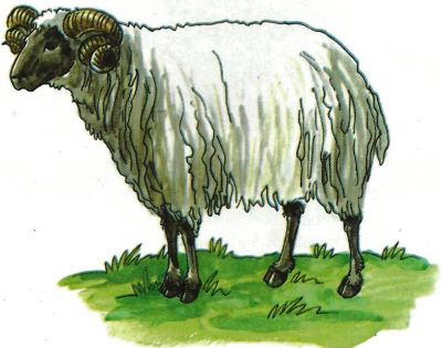 kurban ilustracija