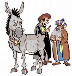 nasrudin